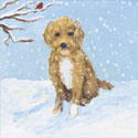 SAX21 Bertie In The Snow